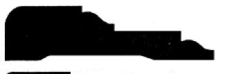 Black abstract shape on a white background.