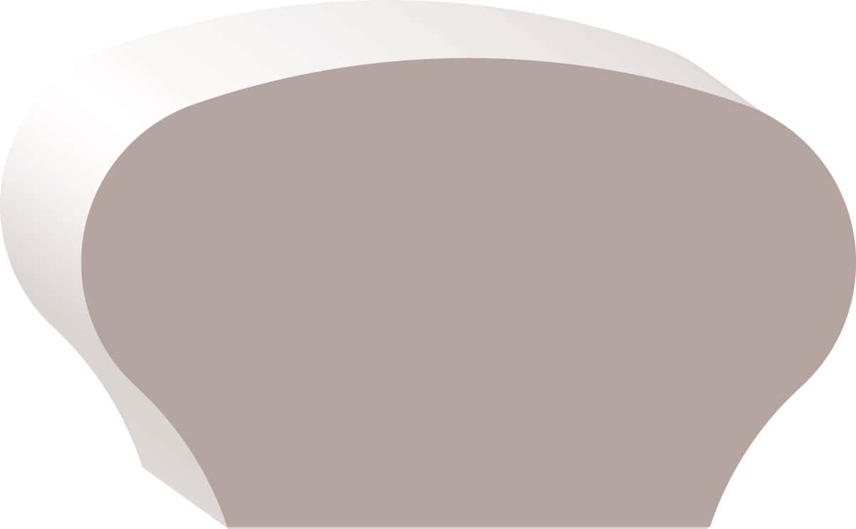 Abstract illustration of a brown and white mushrooм with a smooth cap and thick stem, viewed from the side.
